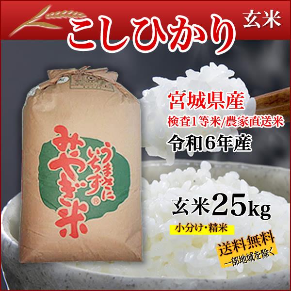 ＜完売＞宮城県産 令和6年産 こしひかり 玄米 25kg