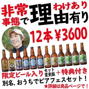 ！コロナで訳あり12本3600円！商品一部入れ替わり！宮崎ひでじビール　オンラインビアフェス抽選券付き！　最短10/31賞味期限　数量限定