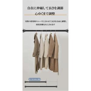 突っ張り棒 強力 つっぱり棒つっぱり式 ハンガ...の詳細画像5