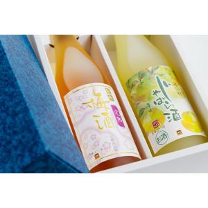 じゃばら酒×完熟梅酒 2本セット（ギフト化粧箱入り）｜hideoshouten