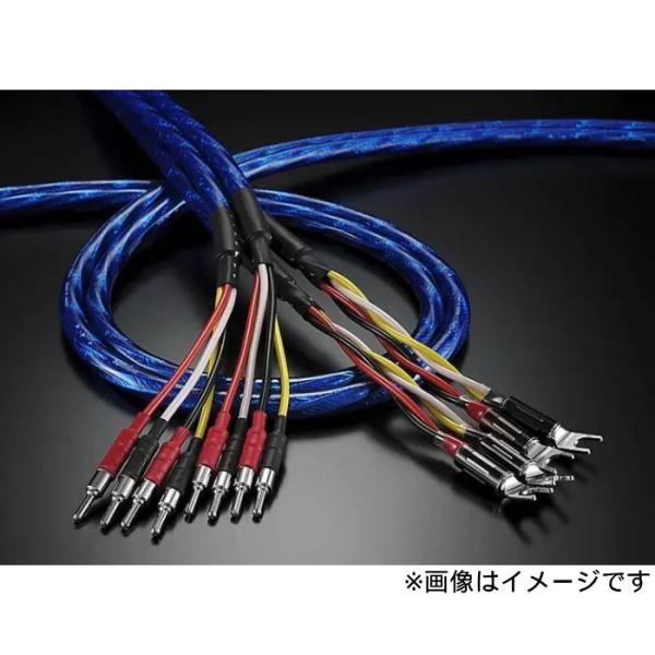 ゾノトーン ZONOTONE スピーカーケーブル Granster SP-8800 特注品【3.0ｍ...