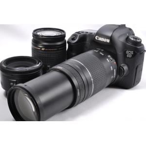 EOS Canon キヤノン 90D 超望遠トリプルレンズセット SDカード EOS Canon キヤノン 90D 超望遠トリプルレンズセット SDカード