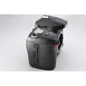 Nikon ニコン D7100 標準&超望遠ダ...の詳細画像5