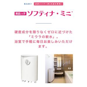Amway（アムウェイ） 新品未使用 BathSpring バスルーム浄水器交換用