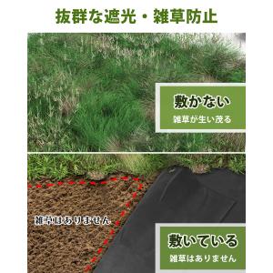 防草シート 1mx10m 1枚・2枚入り 不織...の詳細画像1