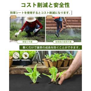 防草シート 1mx10m 1枚・2枚入り 不織...の詳細画像2