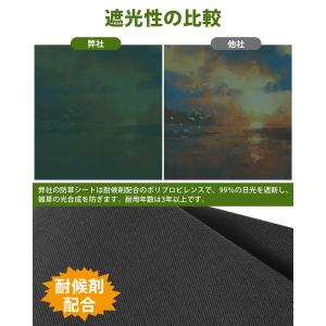 防草シート 1mx10m 1枚・2枚入り 不織...の詳細画像4
