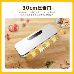 真空パック機 真空シーラー 真空袋10枚付き!...の詳細画像5