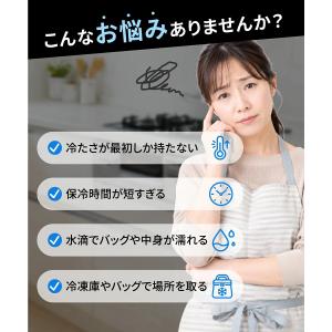 保冷剤 ステンレス製 アイスパック 急速冷却 ...の詳細画像1