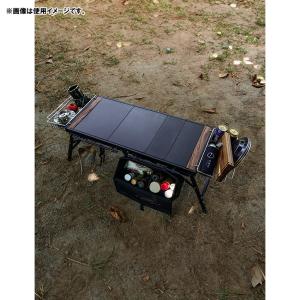 ZEN Camps ゼンキャンプ FoldFl...の詳細画像4