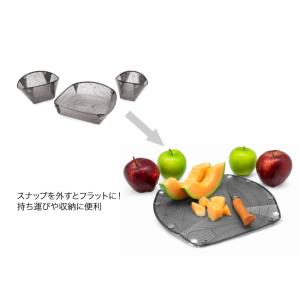 Fozzils フォッジルズ スナップフォール...の詳細画像2