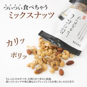 アウトドアスパイス ほりにし ミックスナッツ ...の詳細画像2