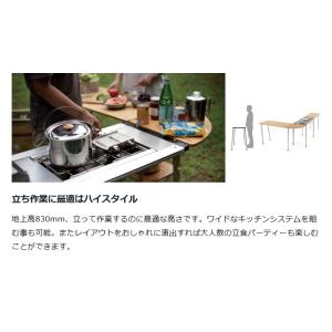 Snow Peak スノーピーク IGT アイ...の詳細画像3