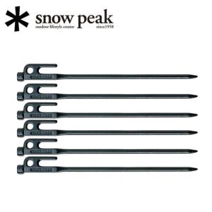 snow peak（スノーピーク） 65周年限定クロームソリッドステーク30 6本