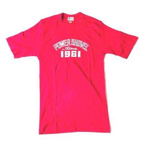 LACOSTE（ラコステ） 80's 90's 大沢商会 CHEMISE LACOSTE ポロシャツ