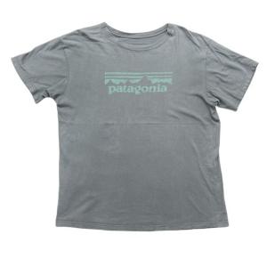 2013 パタゴニア スタンプロゴ Tシャツ  patagonia Organic Cotton S...