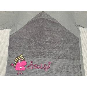 00s メキシコ製 STUSSY オールド ス...の詳細画像2