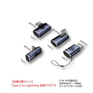 USB Type C to Lightning 変換アダプタ 各種2個セット PD充電対応 タイプC ライトニングコネクタ 急速充電 データ転送 480Mbps 変換コネクタ ストラップホール｜ハイテクワールド