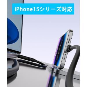 1m USB-C to USB-C PVC ケ...の詳細画像3