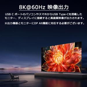 1m USB-C to USB-C PVC ケ...の詳細画像4