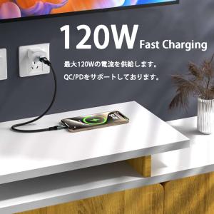 Type-C to USB-A 変換アダプター...の詳細画像2