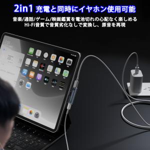 2in1 Type-C to 3.5mm イヤ...の詳細画像4