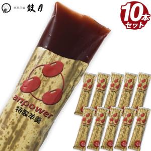 トライアスロン 補給食 鼓月 anpower アンパワー 10本