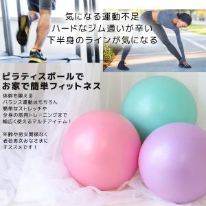 2025年新色追加 ピラティスボール 新作入荷...の詳細画像1
