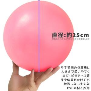 2025年新色追加 ピラティスボール 新作入荷...の詳細画像2