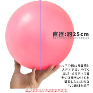 2025年新色追加 ピラティスボール 新作入荷...の詳細画像2