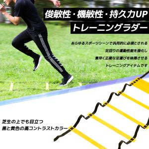 【送料無料】 トレーニングラダー 50個 マー...の詳細画像2