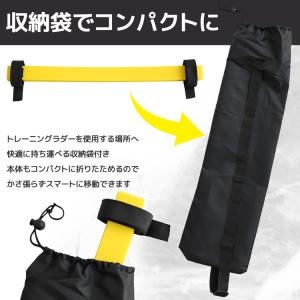 【送料無料】 トレーニングラダー 50個 マー...の詳細画像5