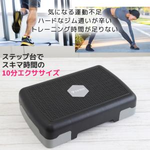 新色追加 最大15cm 2段 ステップ台 踏み...の詳細画像1