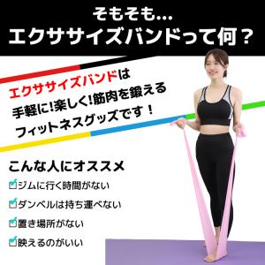 新作入荷 ヨガバンド セラバンド トレーニング...の詳細画像2