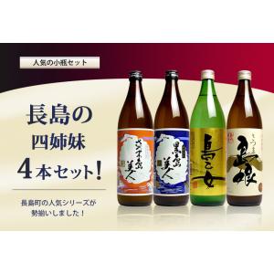 長島研醸 島娘＋島美人＋島乙女 (900ml) 飲み比べ セット