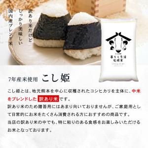 米 お米 20kg 送料無 こし姫 コシヒカリ...の詳細画像3