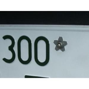 ワッシャー  サクラ