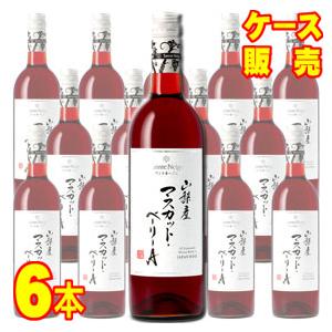 サントネージュ サントネージュかみのやま奈良崎畑 メルロー 750ml 6本