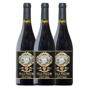 ワイン 赤ワイン ヴィラ プッチーニ ピノ ネロ 3本 セット イタリアワイン ミディアムボディ 7...