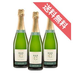 シャピュイ ブリュット レゼルヴ ブラン ド ハーフボトル 3本