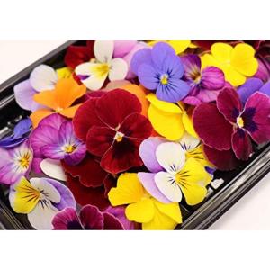 植物工場産エディブルフラワーうずの華 (Mix、40輪)