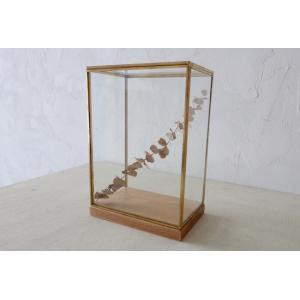 ディスプレイキャビネット L 『ガラス アイアン 店舗什器 ウッド