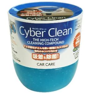 サイバークリーン CarCare ボトル 洗車