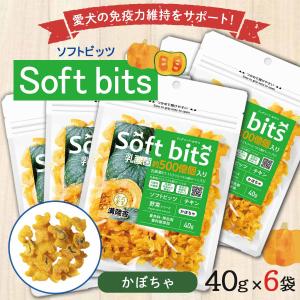 溝陸舎 犬里食堂 soft bits ソフトビッツ ビッツ野菜　かぼちゃビッツ野菜　かぼちゃ 40ｇ×6袋｜hihshop