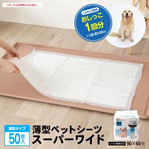 コーナンオリジナル LIFELEX ライフレックス 薄型ペットシーツこまめに交換スーパーワイド 50枚入 / 使い捨て (約)：90×60 (cm) 犬用