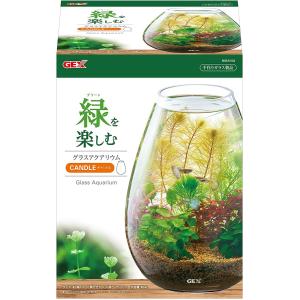 Gex 水槽の商品一覧 熱帯魚 アクアリウム用品 ペット用品 生き物 通販 Yahoo ショッピング