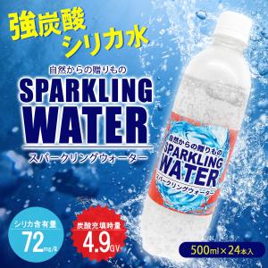 水 強炭酸水 シリカ水 天然水 天然ミネラルウォーター おいしいシリカ水 500ml×24本 1ケース 配送無料