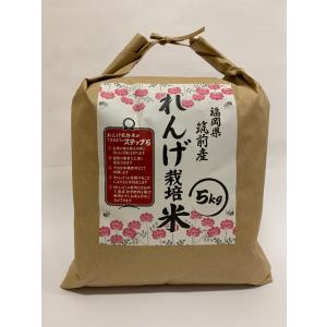 クリーンアルファー 福岡県産 元気つくし れんげ米 5KG