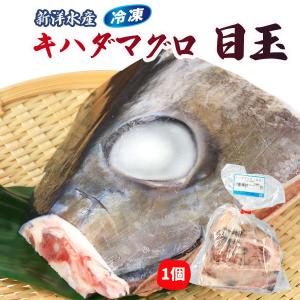 【新洋水産】キハダマグロ(目玉) 1個