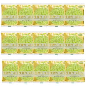 [ベルファーム] メロンジュース 100g×15袋 メロンジュース メロン 野菜 野菜ジュース ジュース｜hihshop